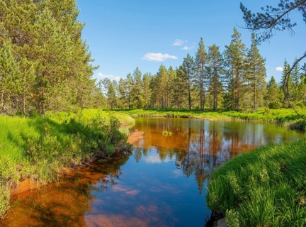 View along a river in the Norwegian countryside, Åmli, Agder, Norway