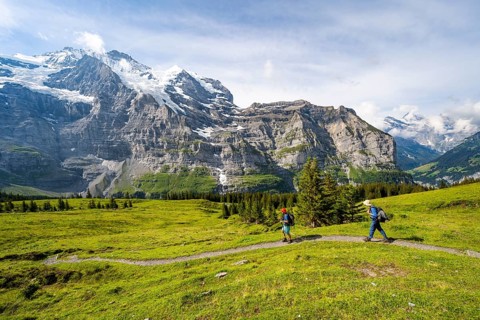 Two hikers on a hiking trail on Mettlenalp, mountain panorama with peaks Mönch and Jungfrau,