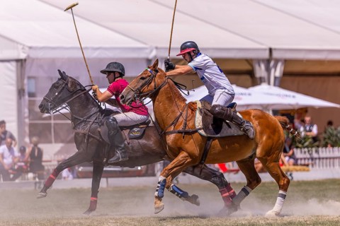 Polo player, polo horse, polo pony (Equus), rider, polo tournament, 1295 Polo Masters, Sylvenstal,