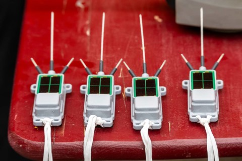 GPS tracking transmitters on a table, tagging white storks (Ciconia ciconia), Lake Constance