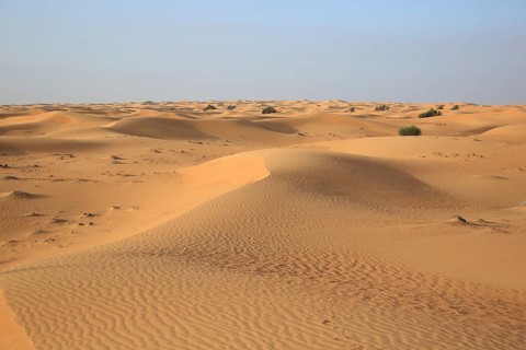 Wide desert landscape with rolling sand dunes under clear sky, desert with sand dunes, Dubai,