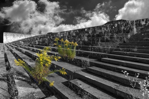 Wild plants grow on the main stand of the Zeppelin field on the former National Party Rally