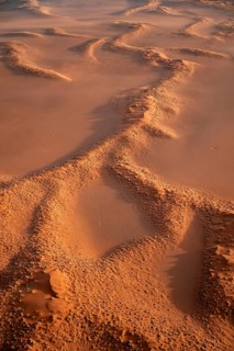 Aerial view, sand dunes with vegetation in the Namib Desert, Namib Naukluft Park, Namibia
