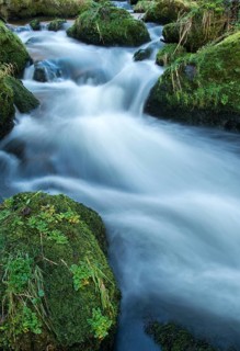 Germany, Saxony, Triebtal, rivers, high size, portrait format, landscape, atmosphere, Vogtland