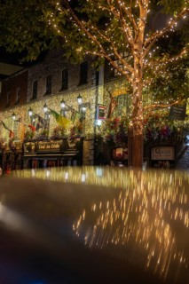 Shiny lights decorate a tree in front of a cozy pub on a city street, Nightlife, Dublin, Ireland