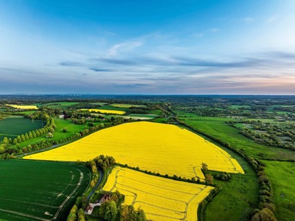 Sunset of Rapeseed Fields and Farms over Horsebridge nad Stockbridge from a drone, Hampshire,
