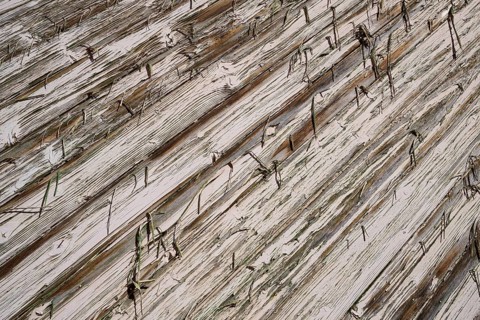 Close-up of aged wooden boards with visible grain and cracks, Bavaria, Germany