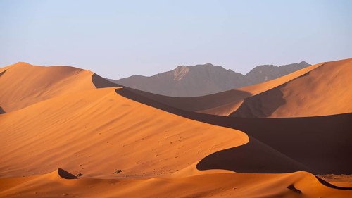 Red-yellow sand dunes of the Namib, Namib Desert, Namib-Naukluft National Park, Namibia