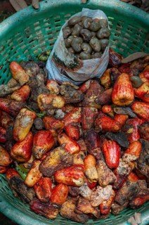 Freshly harvested cashew nuts in a basket, Bilathikulam, Calicut, Kerala, South India, India