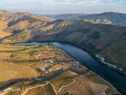 Drone view of terraced vineyards climbing hills above the Douro River in Portugal, revealing