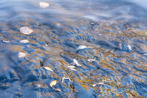 Reflections on a rock, Dundret Nature Reserve, Gällivare, Norrbotten, Lapland, Sweden, October 2022