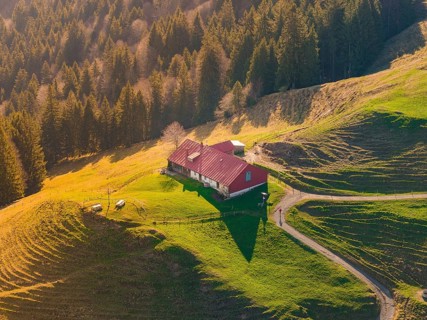 A house with a red roof on a sunny meadow at the edge of a hill, Allgäu, Bavaria, Germany