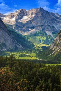 Large maple soil in the Karwendel nature park Park in Rißtal, Hinterriß, Tyrol, Austria