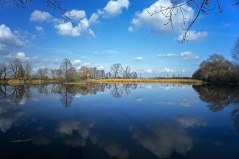 Germany, Greiz, Kauern, Kauernscher Teich, Thuringia, Thuringia, landscape, pond, standing water,