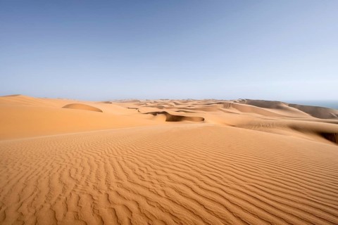 Sand dunes with wave pattern, sandy desert with sea of dunes, Sandwich Harbour, Namib Naukluft