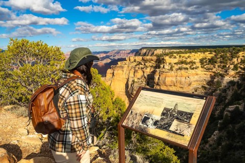 Traveler standing at a scenic viewpoint, observing the vast, layered rock formations and natural