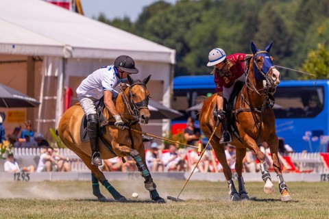 Heino Ferch, polo player, polo horse, polo pony (Equus), rider, polo tournament, 1295 Polo Masters,