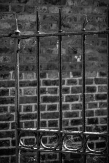 Black and white photo, old metal fence with cobwebs in front of a weathered brick wall, Chelsea,