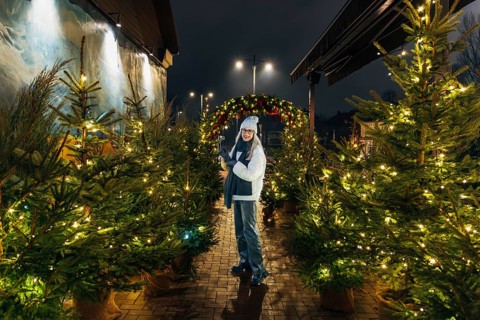 Young woman enjoying festive christmas tree display at night. A woman wearing a white winter hat,