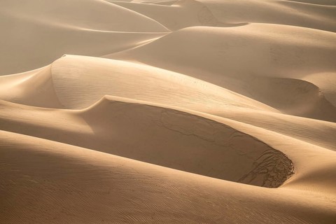 Sand dunes in morning light, sea of dunes, impressive desert landscape, Namib Naukluft Park, Namib
