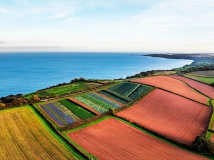 Colours of autumn Fields and Farms over Sheldon from a drone, Torbay, Devon, England, United