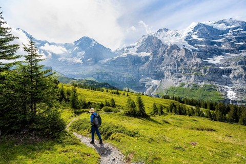 Hikers on a hiking trail on Mettlenalp, mountain panorama with peaks Eiger, Mönch and Jungfrau,