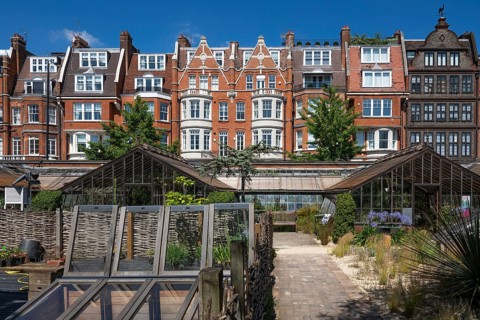 Victorian townhouses on Royal Hospital Road, historic greenhouses, Chelsea Physic Garden, historic