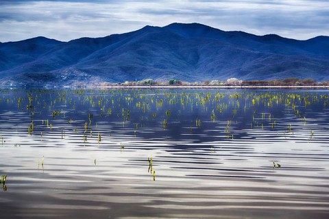 Wetland, shallow banks, wetland, mountain scenery, Lake Kerkini, Lake Kerkini, morning mood,