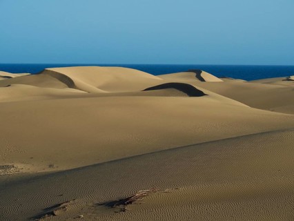 Sand dunes stretch against clear blue skies and calm atmosphere, Maspalomas Dunes, Gran Canaria,