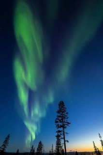 Northern Lights (Aurora borealis), Gällivare, Norrbotten, Lapland, Sweden, April 2025