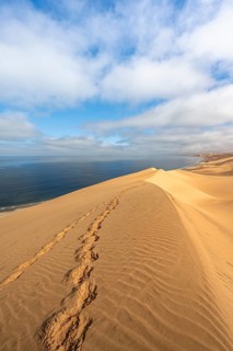 Sand dunes and sea, Atlantic coast and sandy desert with sea of dunes, Sandwich Harbour, Namib