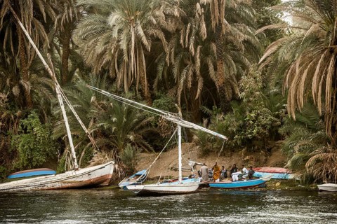 Fishermen and palm trees on the Nile, near Edfu, Upper Egypt, Egypt