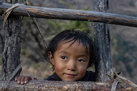 Portrait, small hunge looking through fence, local of the Tsumba Tibetan ethnic group, Tsum Valley,