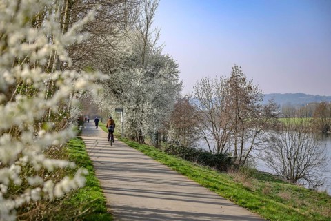Hattingen, North Rhine-Westphalia, Germany - Landscape on the Ruhr, cyclists and walkers on the