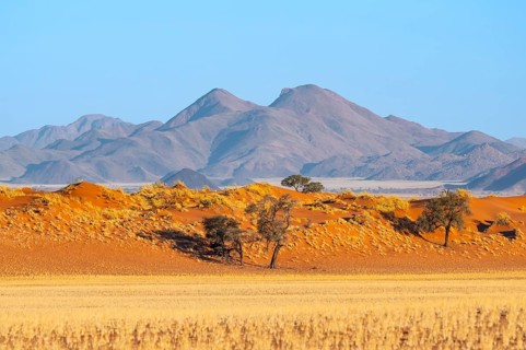 Dunes, landscape in the NamibRand Nature Reserve, in the back Naukluft Mountains, Namib Desert,