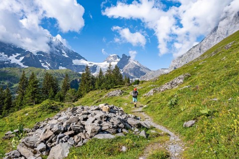 Hikers on hiking trail in front of picturesque mountain landscape with mountain peaks Breithorn and