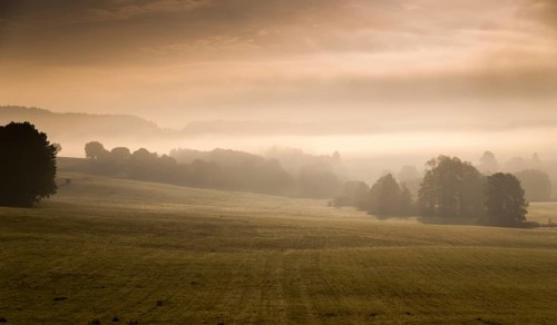 Germany, Greiz, Thuringia, Thuringia, atmosphere, autumn, cultivated landscape, Haze, autumn,