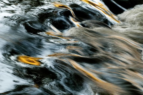 Atmosphere, autumn, detail, flowing water, river, autumn, landscape, river, mood, water