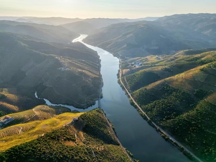 Aerial sunrise view of the Douro River flowing between terraced vineyard hills in Portugal's Douro