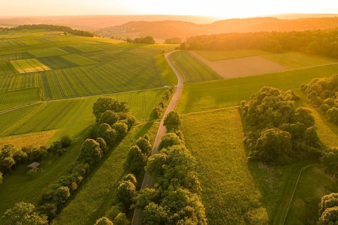 A trail through lush green countryside in the warm evening sun, Gechingen, Hecken and Gäu region,