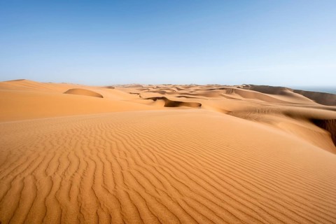 Sand dunes with wave patterns, dune sea, sandy desert, impressive desert landscape, Namib Naukluft