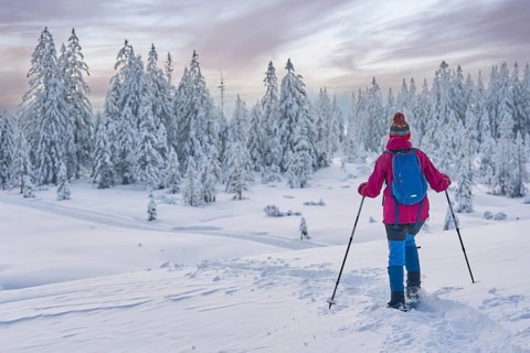 Nice and active senior woman hiking with snow shoes in deep powder snow in the Hochhaedrich area of