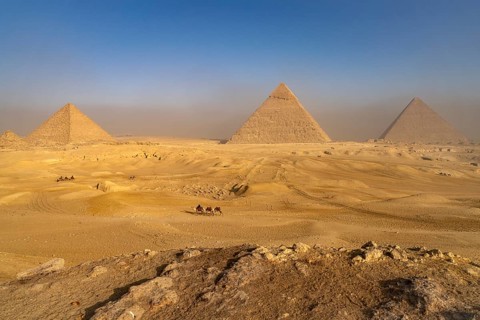 Camels in the desert and the pyramids of Giza, Egypt