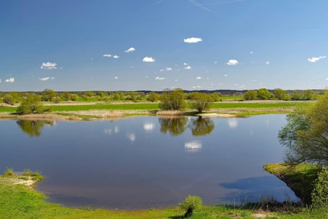A quiet river with reflecting trees under a blue sky, Elbe, Drethem, Elbuferstraße, Wendland, Lower