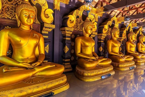 Seated, gilded Buddha statues in the Buddhist temple Wat Phra That Don Phra Chan, near Lampang,