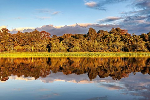 Tranquil scene of a river with trees and cloud reflections, sunset on the Beni River near