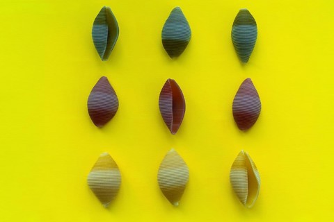 Green, yellow and red pasta conchiglioni, on a yellow background, top view