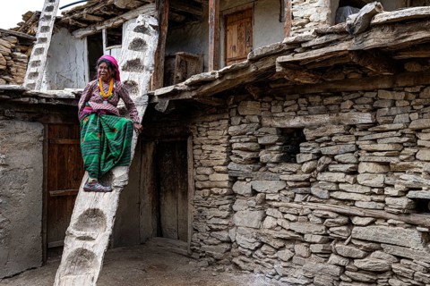 Elderly woman, Nepalese woman on a traditional climbing tree made from a tree trunk at an old