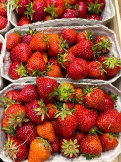 Freshly picked red strawberries fruit in small cardboard basket displayed by grocery store grocer,