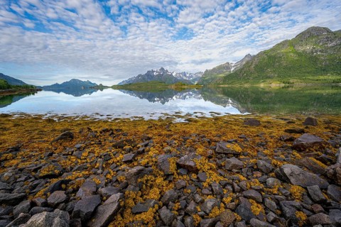 Shores with overgrown stones, picturesque fjord landscape at Raftsund fjord, mountains reflected in